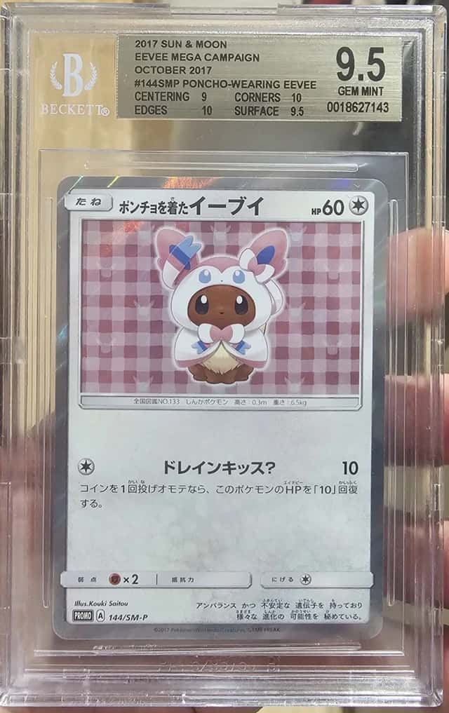 Poncho-Wearing Eevee