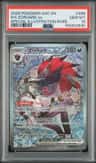N'S Zoroark Ex