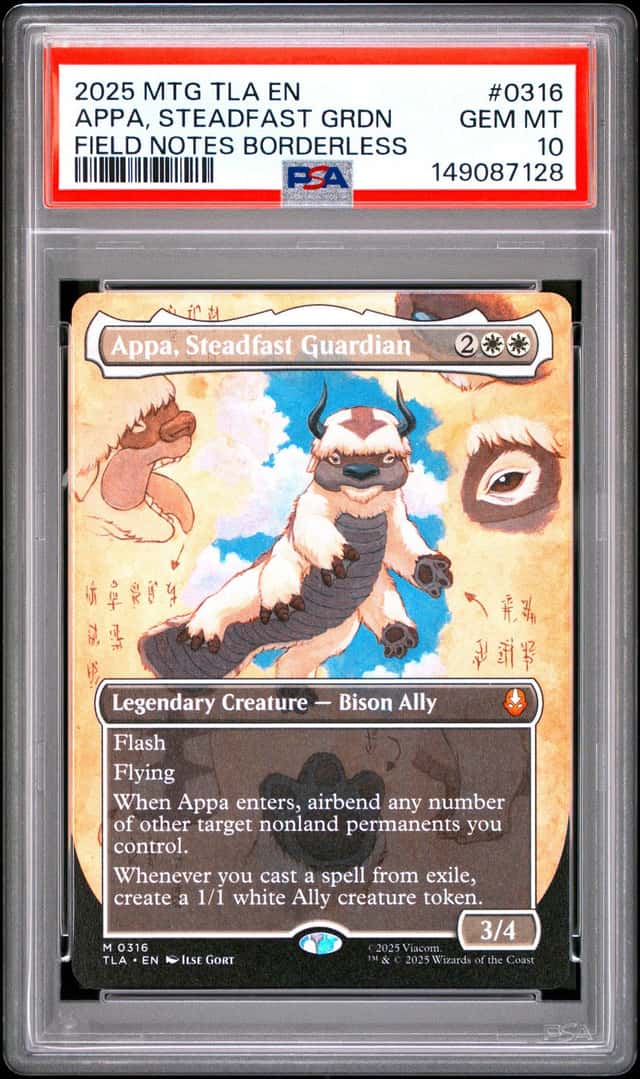 Appa, Steadfast Guardian