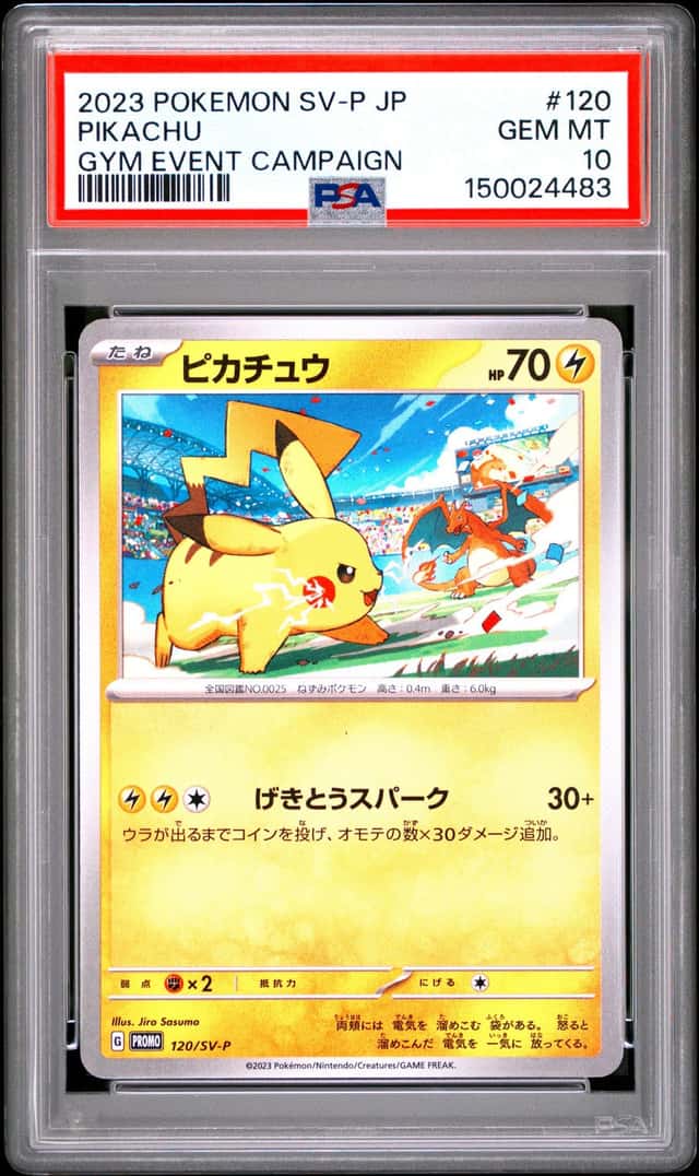 2023 Pokemon SV Black Star Promos JP Pikachu Gym Event 2024 #120/SV-P PSA 10