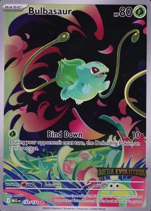 Box Topper