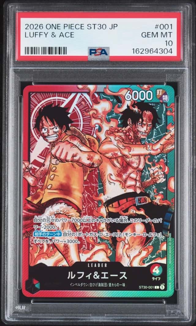 Luffy & Ace