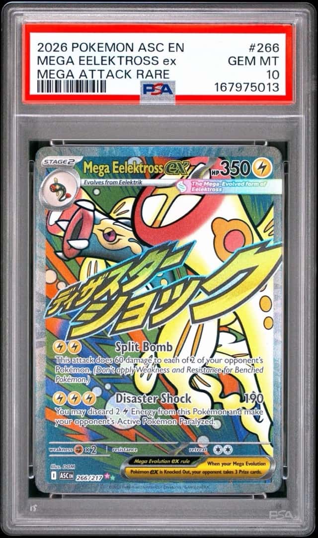 MEGA EELEKTROSS ex