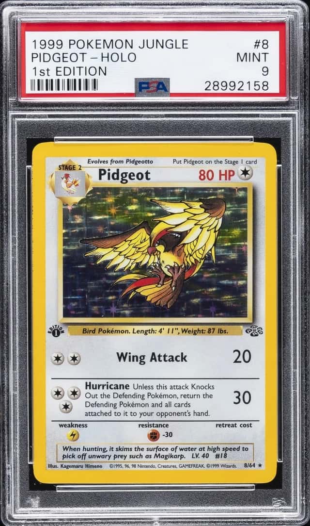 Pidgeot