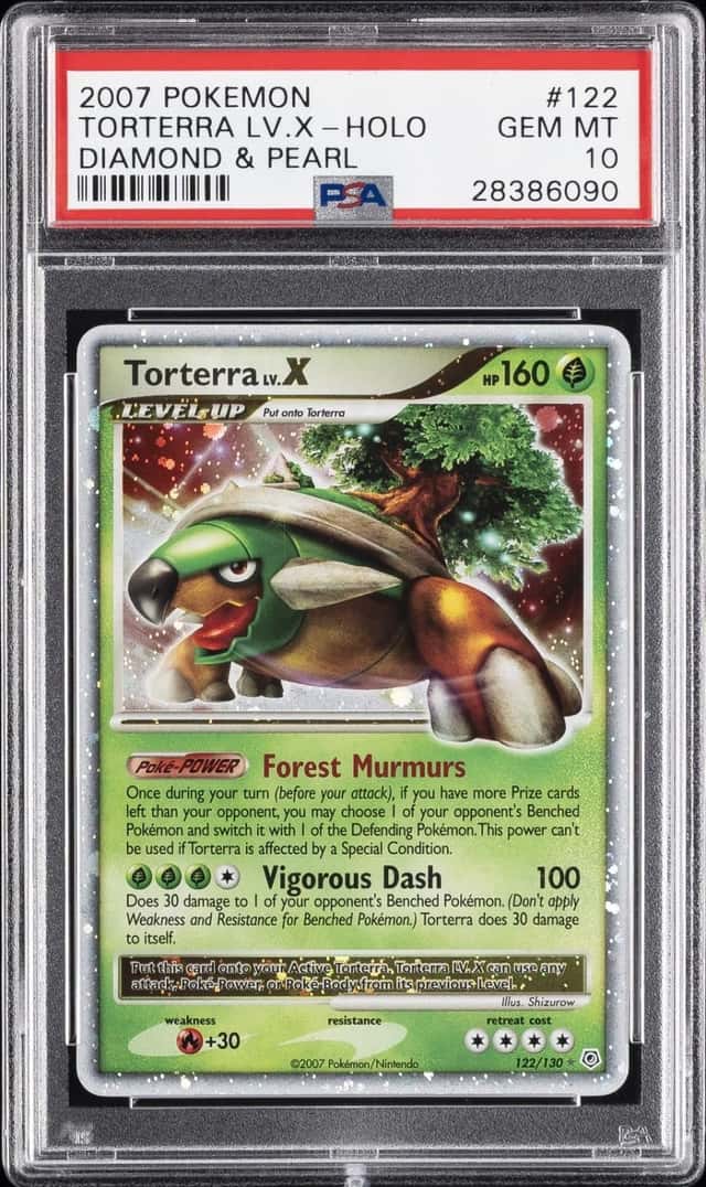 TORTERRA LV.X