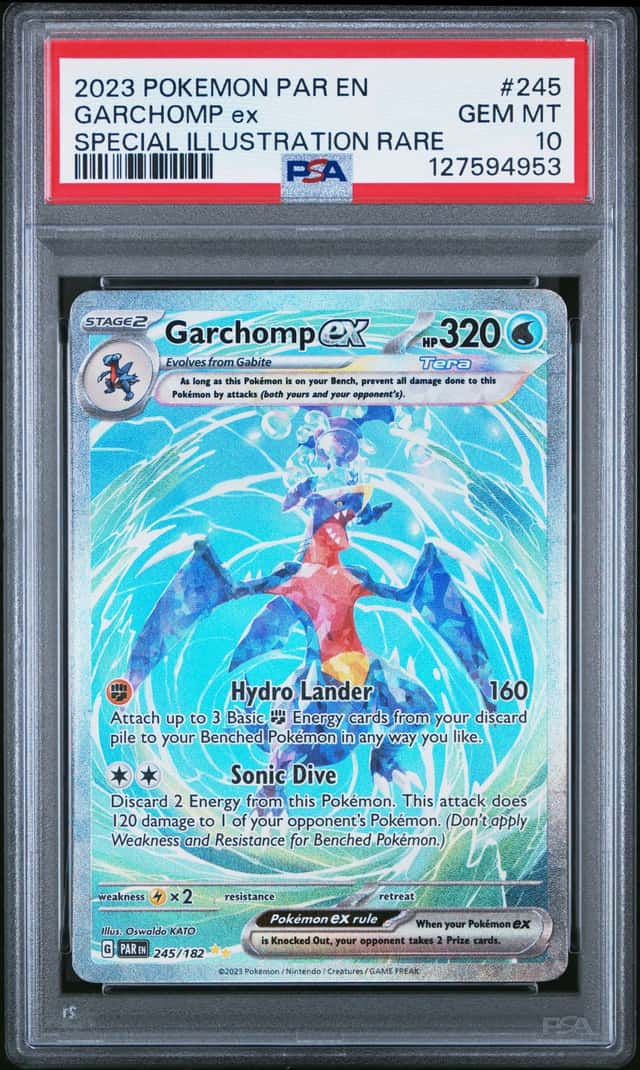 GARCHOMP ex