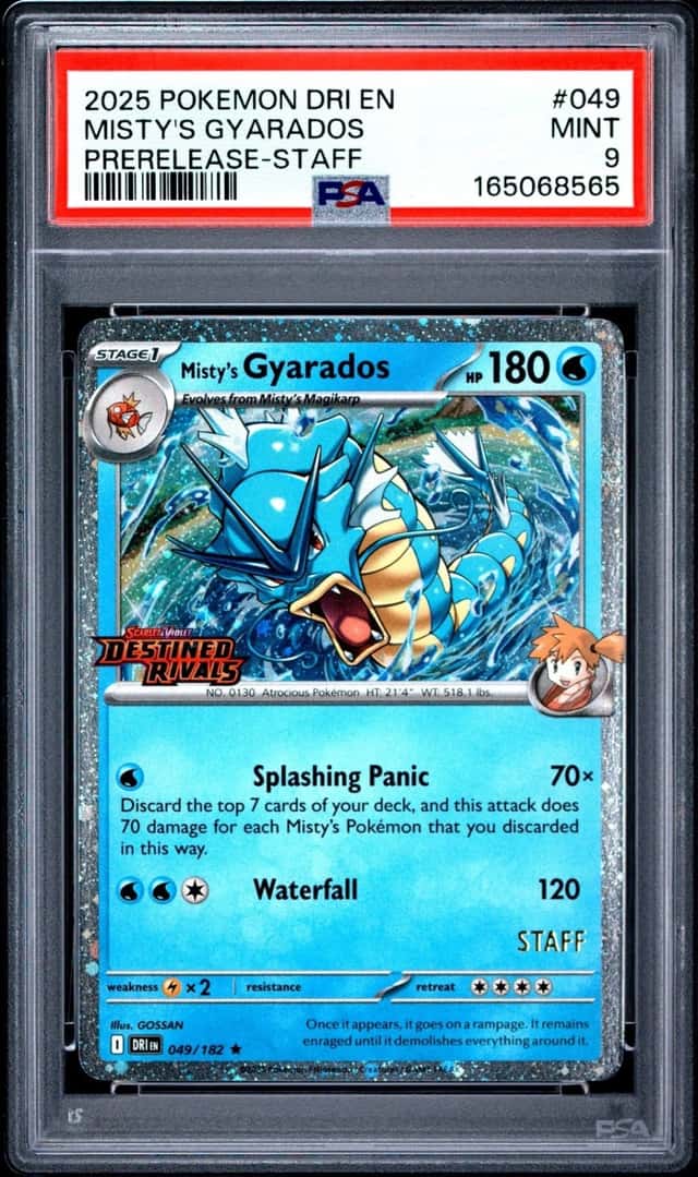 Misty's Gyarados