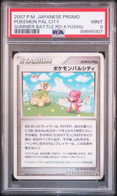 POKEMON PAL CITY