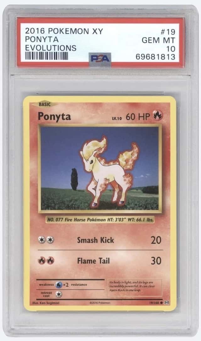 Ponyta