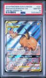 Raichu & Alolan Raichu Gx
