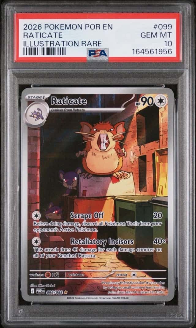 Raticate