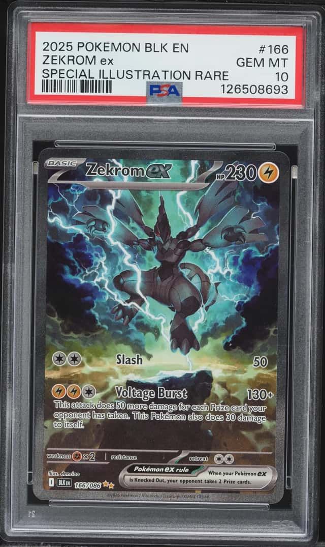 ZEKROM ex