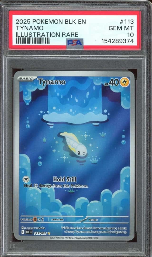 Tynamo
