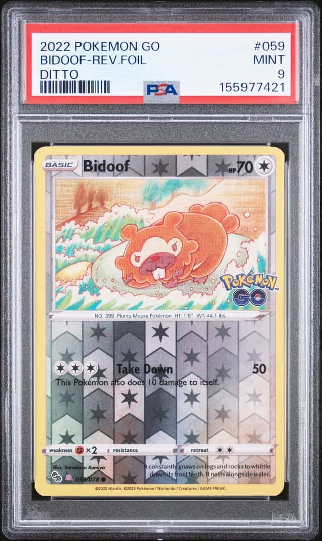 Bidoof