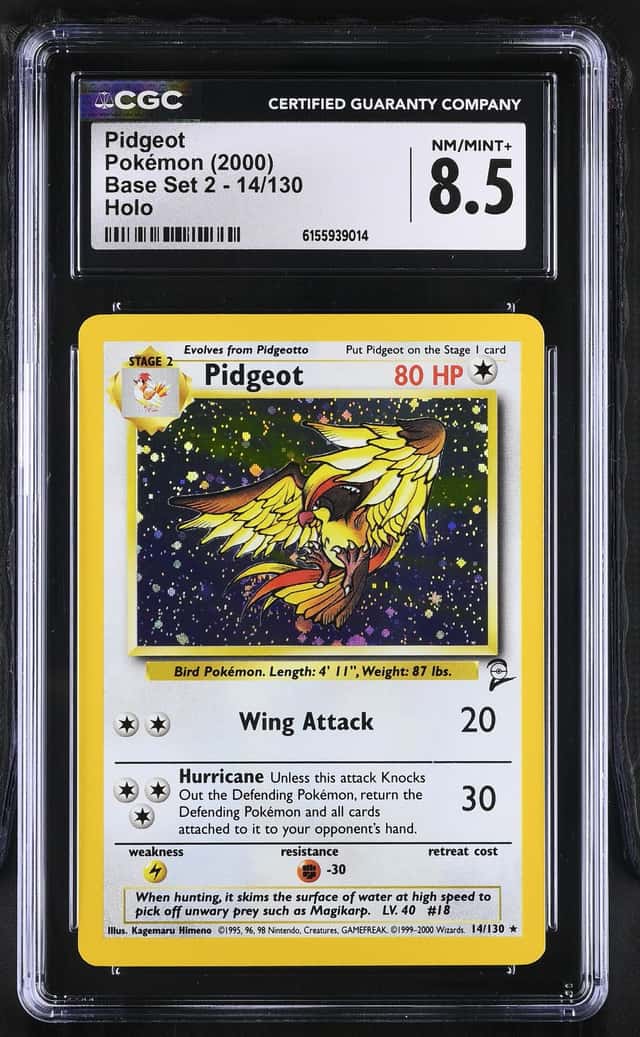 Pidgeot