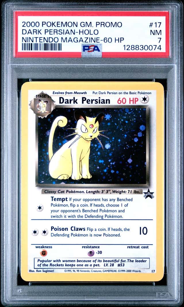 Dark Persian