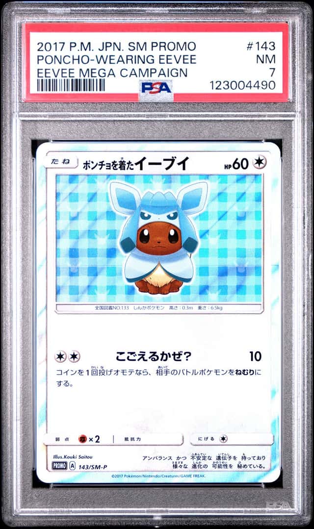 Poncho-Wearing Eevee