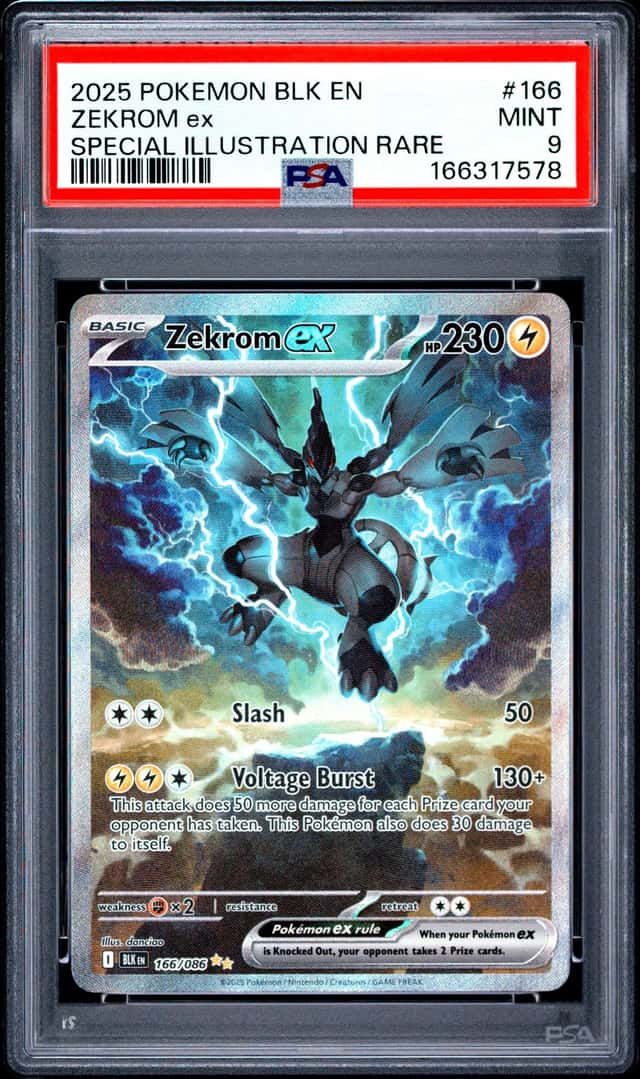 Pokemon Zekrom Ex Black Bolt Special Illustration Rare #166 PSA 9 Mint