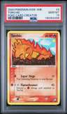 Torchic
