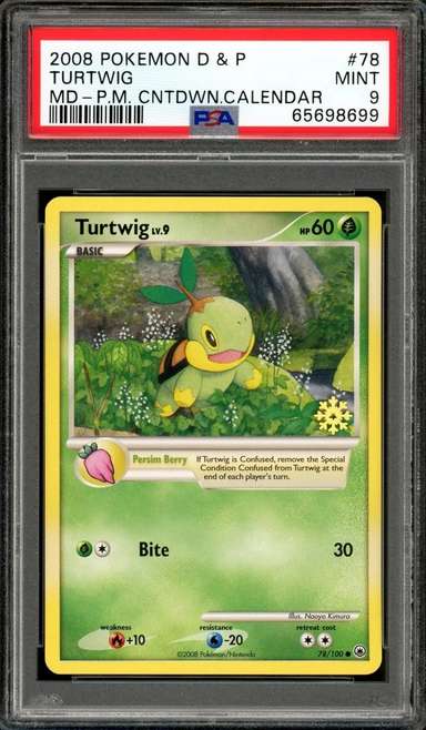 Turtwig