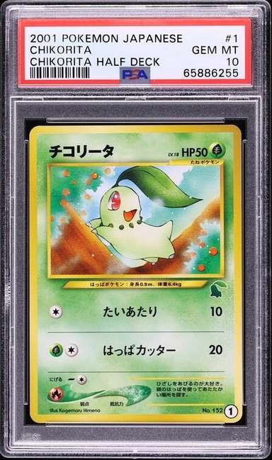 Chikorita