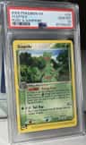 Sceptile