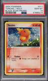 Torchic