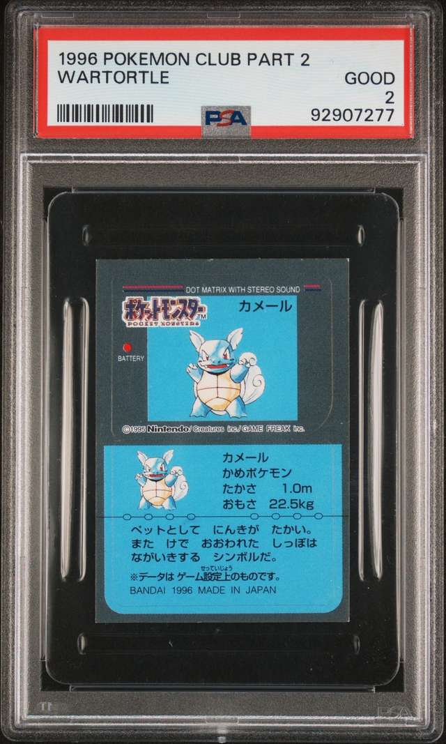 Wartortle