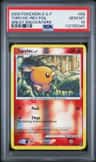 Torchic