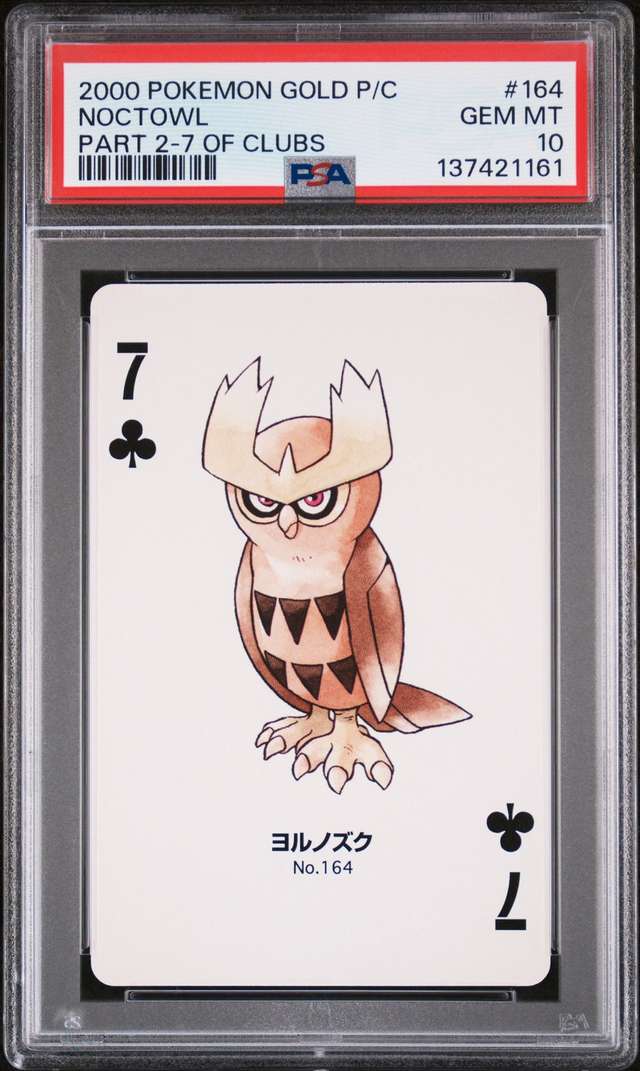 Noctowl