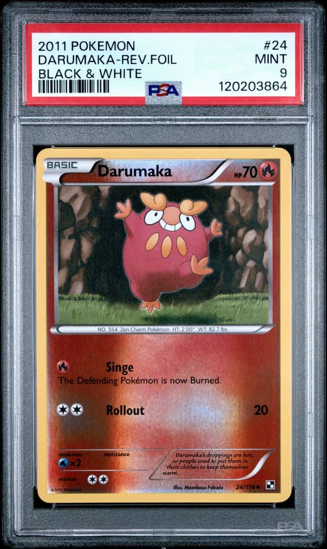 Darumaka