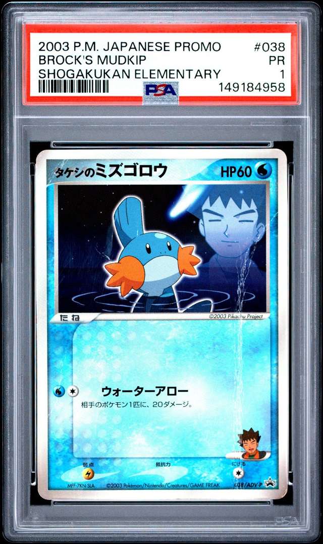 Brock's Mudkip