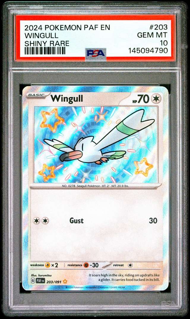 Wingull