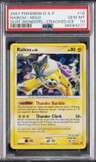 Raikou