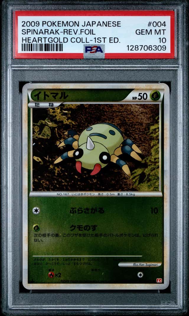 SPINARAK-REV.FOIL