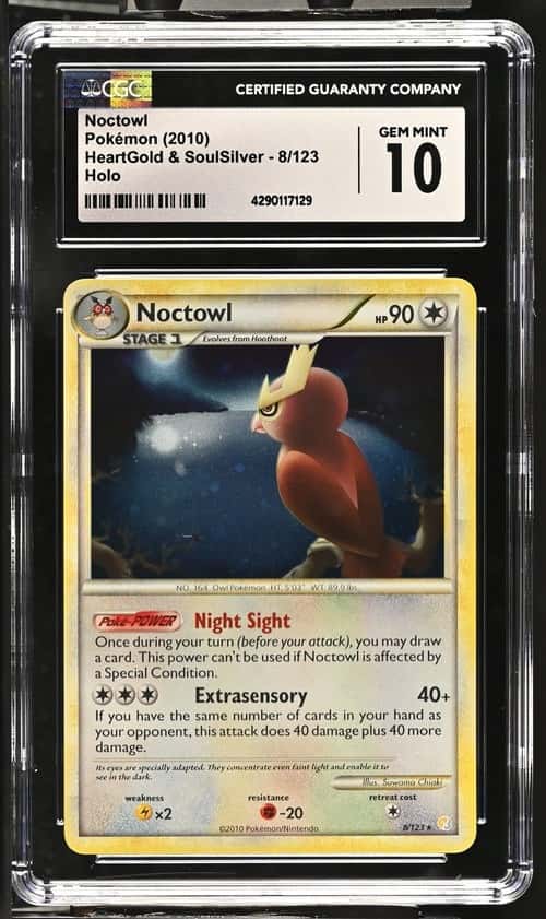 Noctowl
