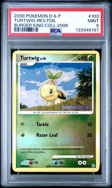 TURTWIG