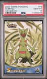 Sceptile