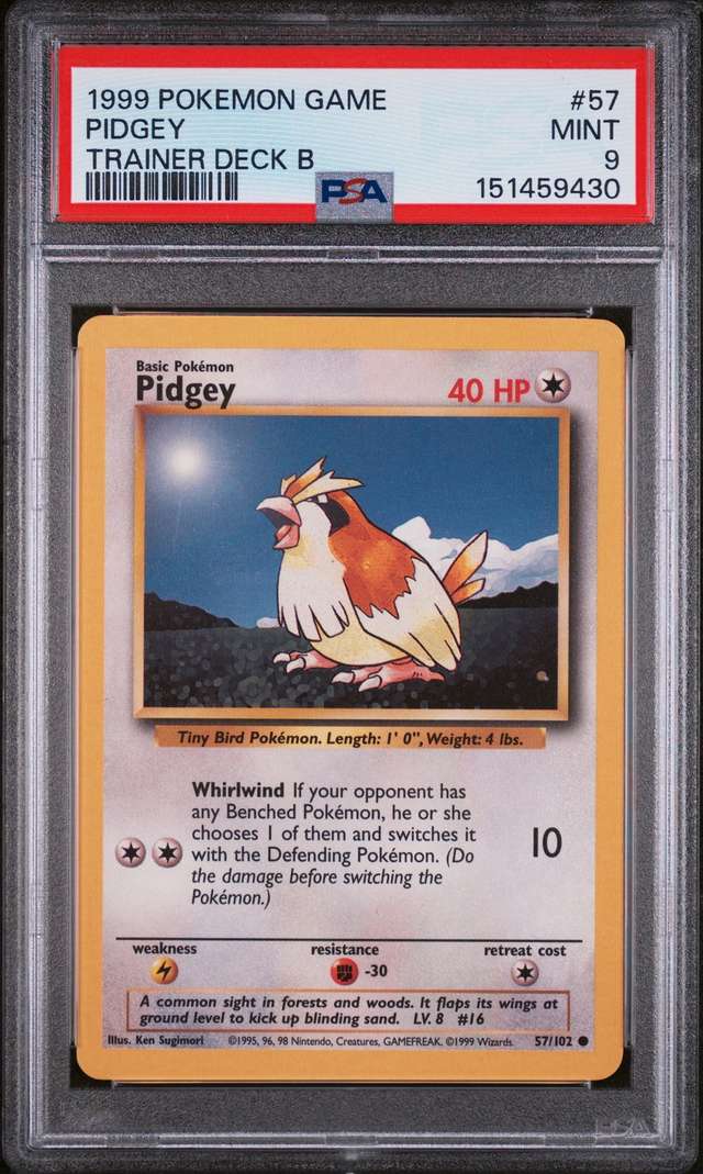 PIDGEY