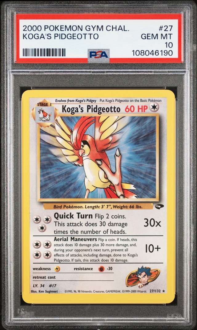 Koga's Pidgeotto
