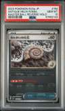 Antique Helix Fossil