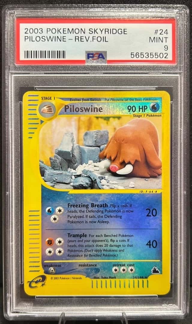 Piloswine