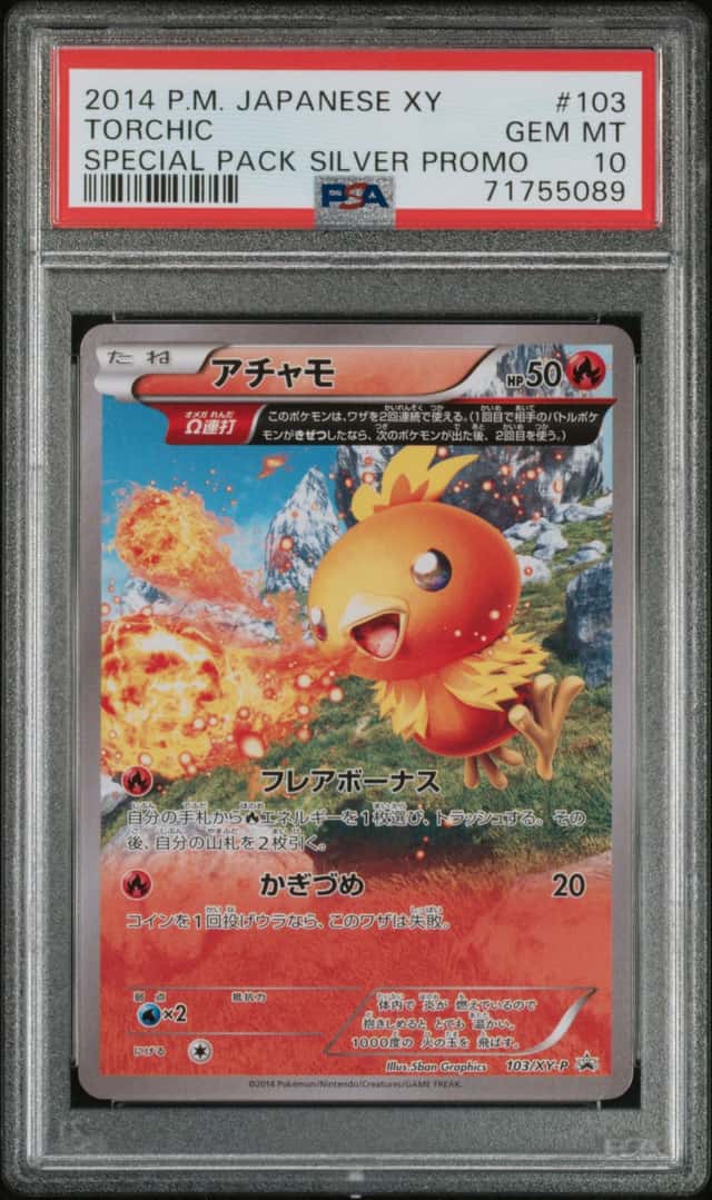 Torchic