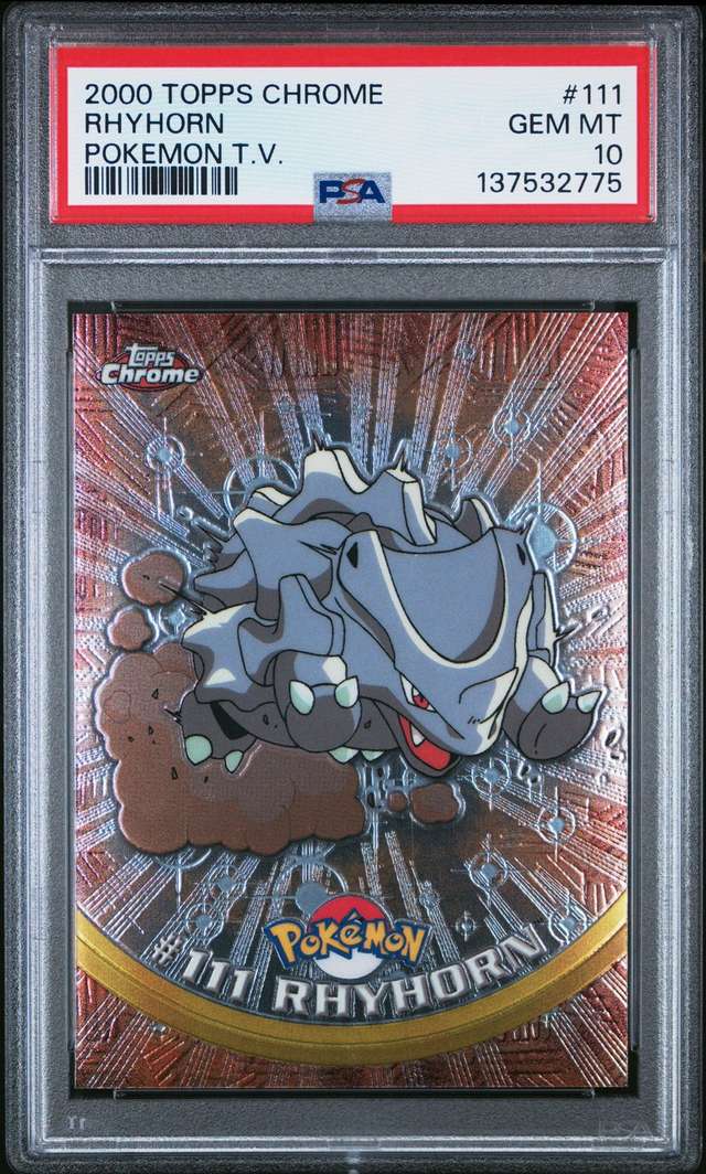 Rhyhorn