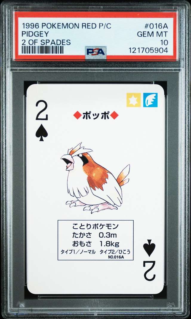 Pidgey