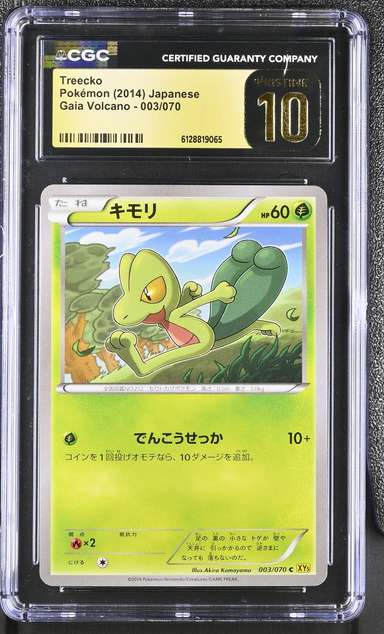Treecko