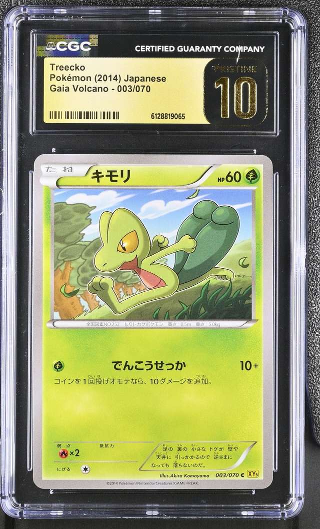 Treecko
