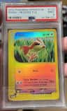 Pidgey