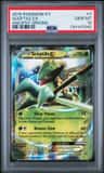 Sceptile Ex