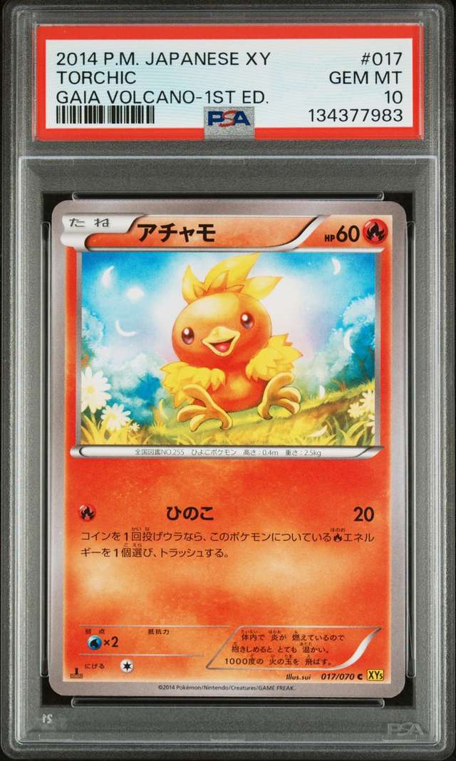 Torchic